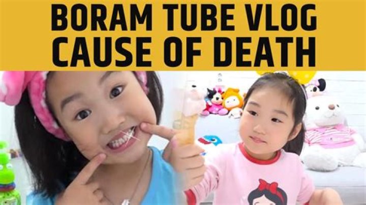 Boram Tube Vlog Is Dead Or Alive? What Is The Real Truth? We Explain