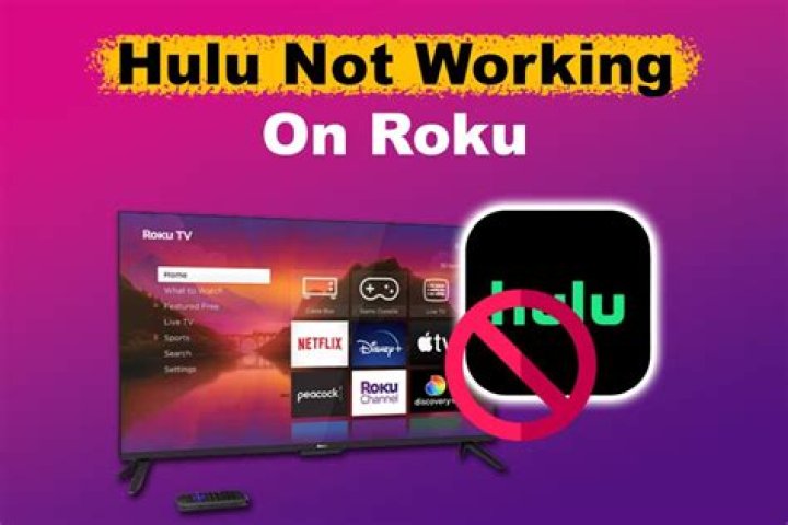 How to Fix Hulu Not Working on Roku? - SarkariResult