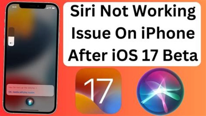 How To Fix / Solve: iOS 17 Siri Not Working - SarkariResult