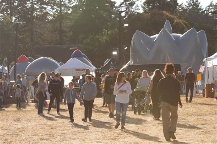 Lee Sasi: Music Festival Attendee Survives Hamas Terrorist Attack by Hiding Under Deceased Individuals for 7 Hours - SarkariResult