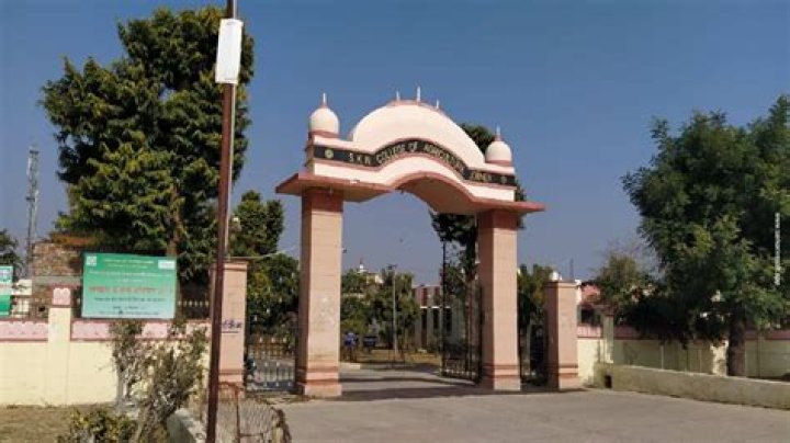 Natasha Henstridge Net Worth: Details About Son, Photos, Movies, Age - SarkariResult