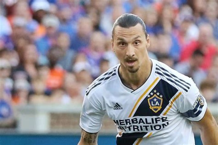 Who are Zlatan Ibrahimovic Parents? Meet Sefik Ibrahimovic And Jurka Gravic